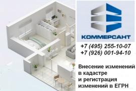 Компания «Коммерсант»: внесение изменений в кадастр или ЕГРН