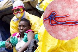 В Западной Африке – первый случай заболевания опасной лихорадкой Марбург