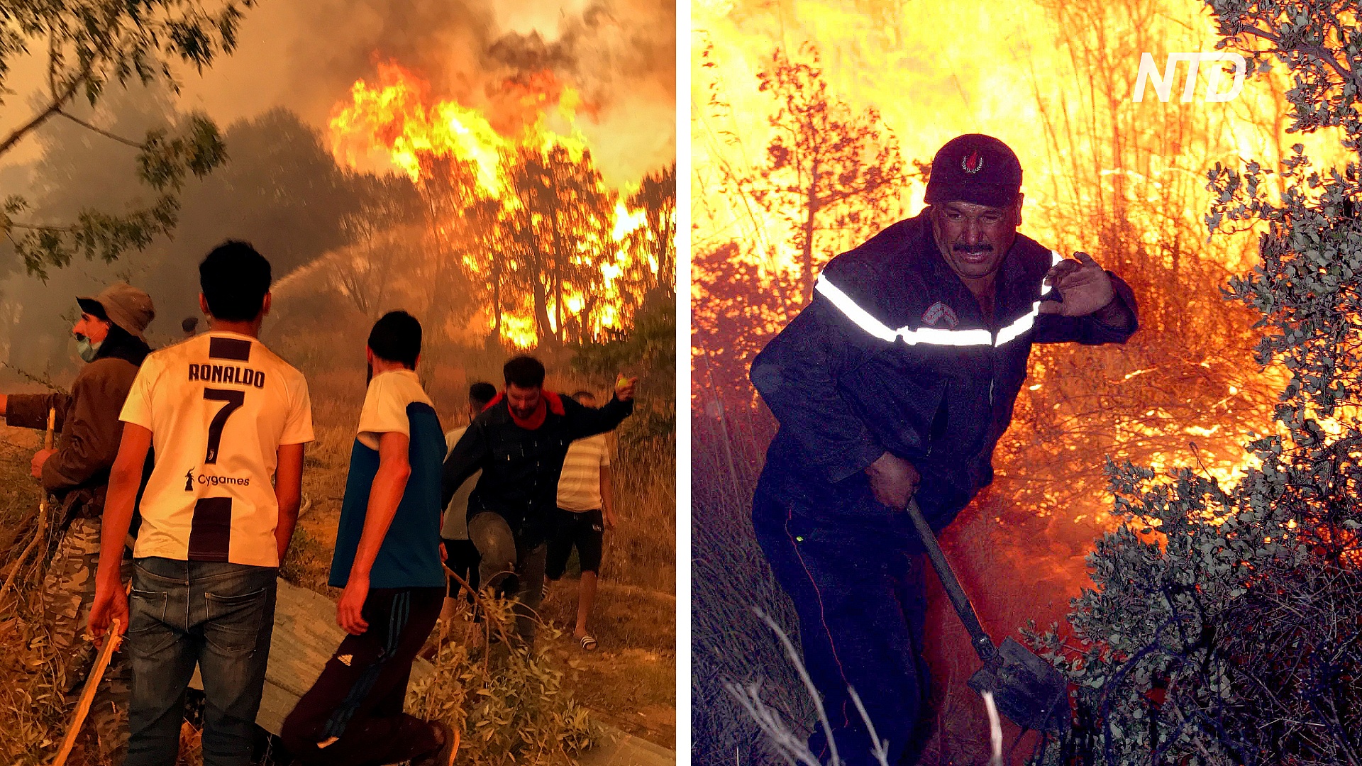 «Мы устали»: алжирцы тушат пожары голыми руками