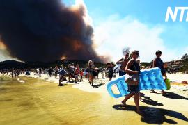 Пожар близ Лазурного берега вошёл в пятёрку сильнейших за столетие