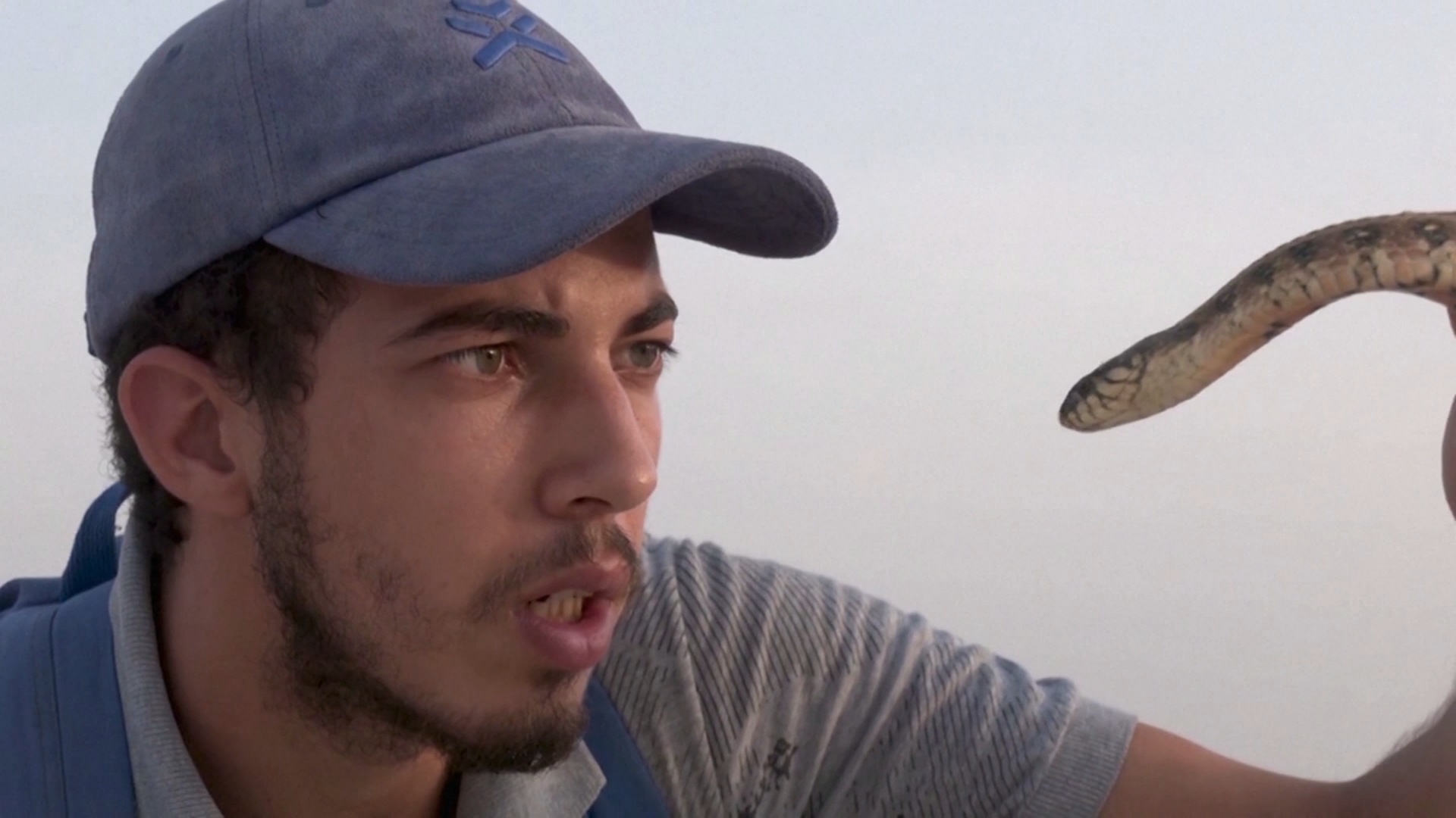Тунисский ютубер ловит ядовитых змей, чтобы снимать познавательные ролики
