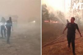 Полсотни пожарных спаслись из огненного кольца в мордовском заповеднике