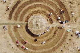 Как круглые сады остановят Сахару