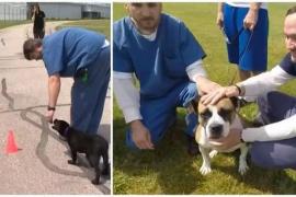 Новая модель реабилитации заключённых свела рецидивизм к нулю