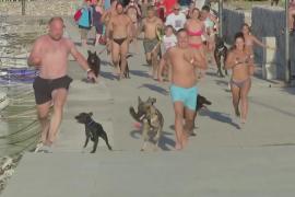 «Собакотлон»: как соревновались собаки и их хозяева на пляже в Хорватии