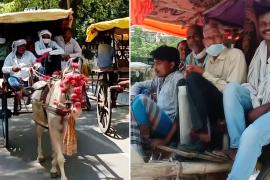 В индийском городе вскоре могут пропасть конные повозки
