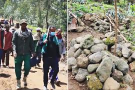120 человек погибли в деревне в Эфиопии: обвиняют боевиков Тыграя