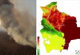 Лесные пожары в Боливии уничтожили 1,5 млн гектаров