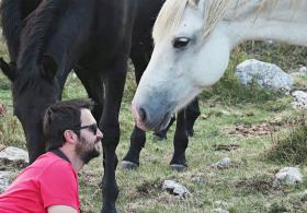 Одичавшие лошади в Боснии одних радуют, а другим приносят беды