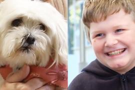 В Австралии дети помогают животным, оставшимся без хозяев