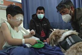 Лохматый десант: собаки-терапевты помогают врачам и пациентам в Чили