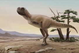 В Бразилии открыли новый вид динозавров, живший 70 млн лет назад