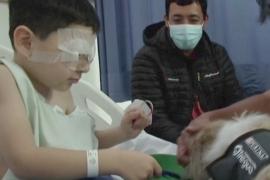 Собаки-терапевты помогают врачам и пациентам в больнице Чили