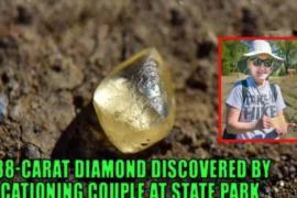Как супруги нашли алмаз
