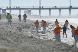Сбор нефти на пляжах Калифорнии продолжается