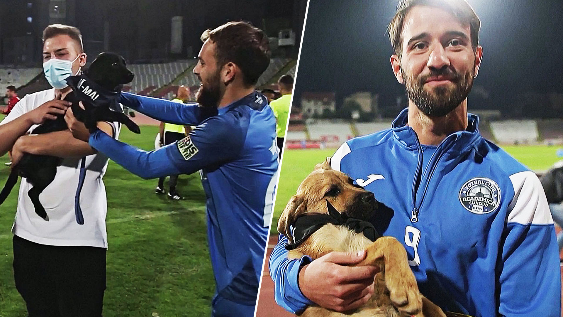 Зачем румынские футболисты выносят щенков на поле перед матчем