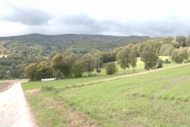 Пропавшую 8-летнюю немку нашли в чешском лесу