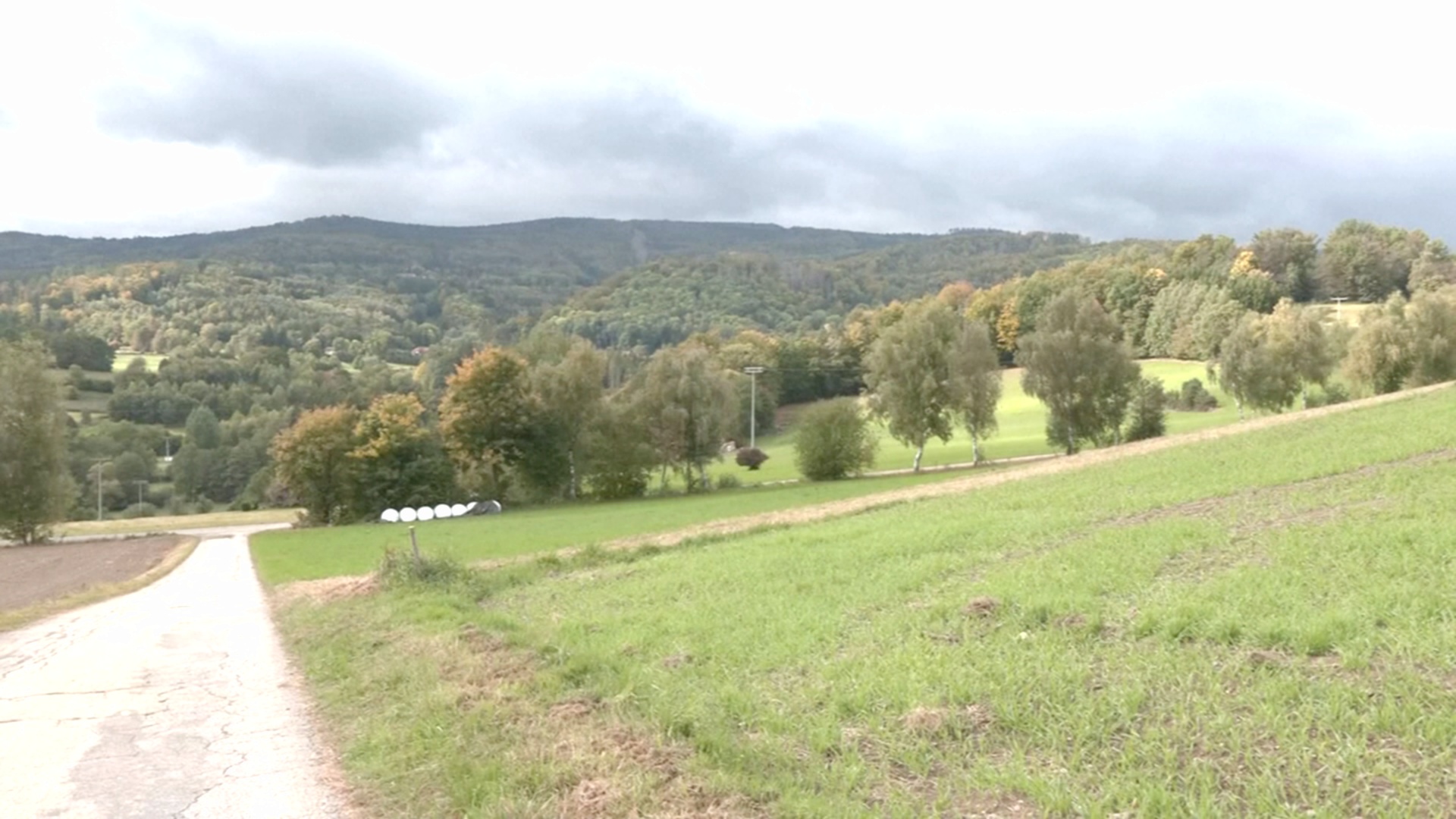 Пропавшую 8-летнюю немку нашли в чешском лесу