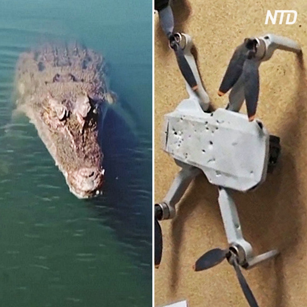 Как прыгучий крокодил дрон летевший утопил