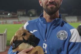 Румынские футболисты помогают бездомным щенкам