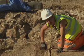 Камеру для гладиаторов нашли при раскопках амфитеатра в Англии