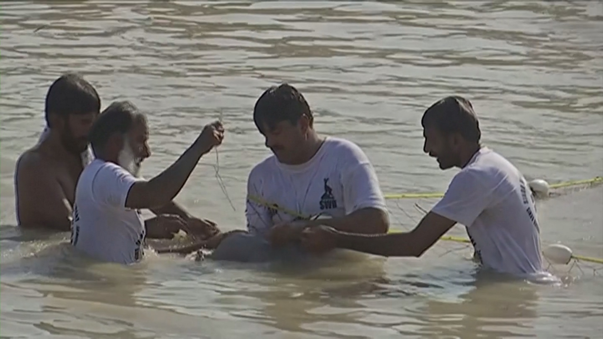 Как в Пакистане спасали редкого слепого дельфина