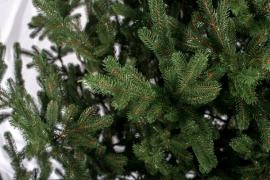 Ёлки, как настоящие!