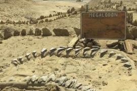 Пасть гигантской акулы показали в чилийской пустыне