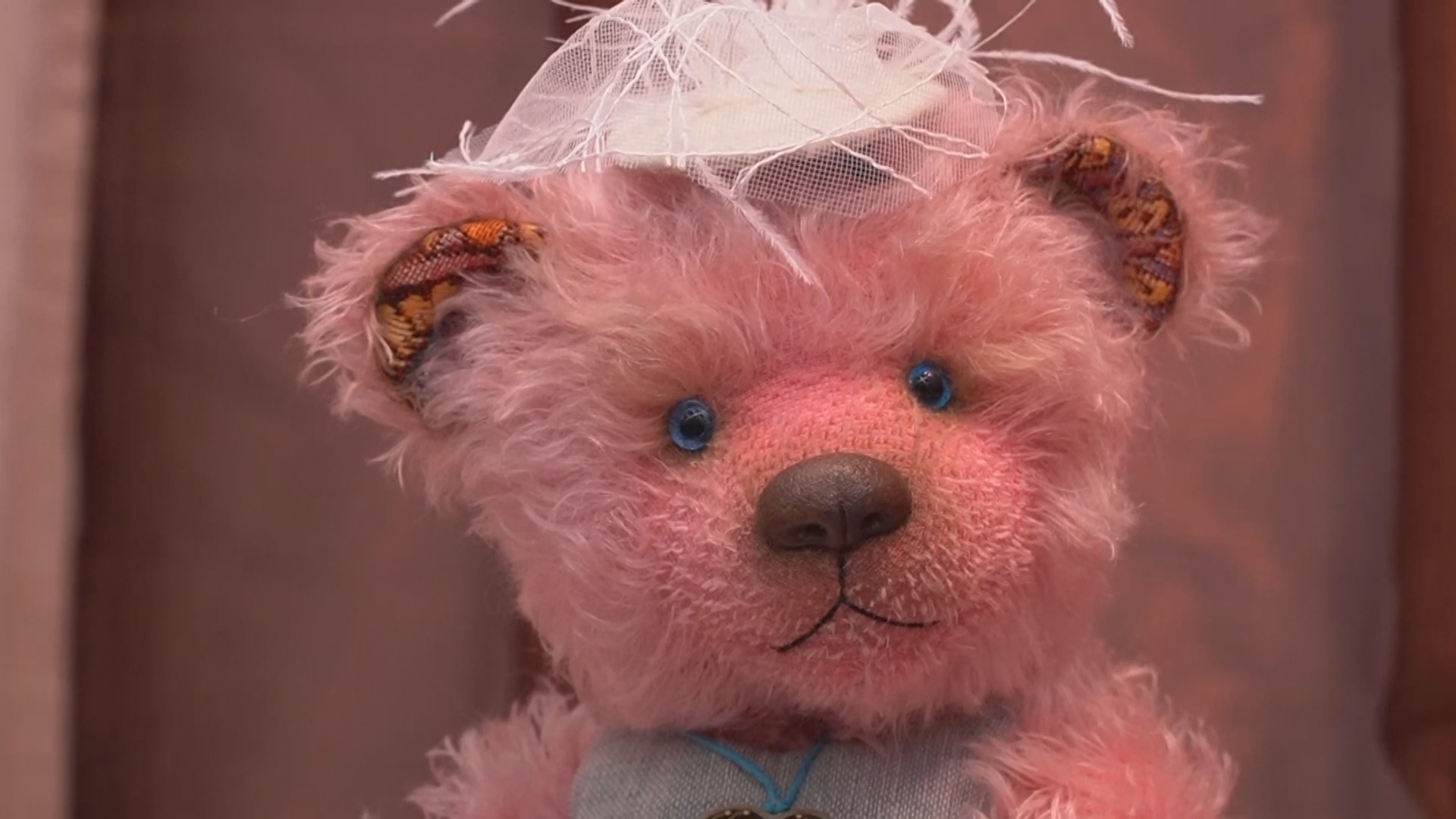 Царство медведей: выставка мишек Тедди прошла в Москве