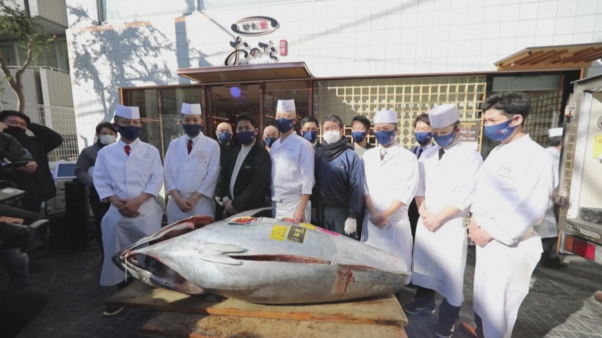 Аукцион голубого тунца: цены падают третий год подряд