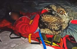 Пёс 13 часов согревал раненого хозяина в горах Хорватии