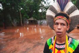 «Пути назад нет»: племя индейцев в Бразилии лишилось деревни