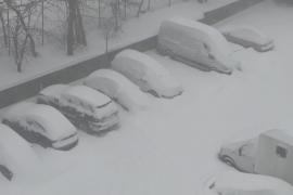 На Канаду обрушился снежный шторм