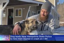 Полицейский рассказал, как пёс спас хозяина