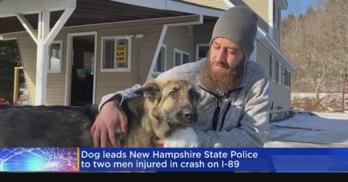 Полицейский рассказал, как пёс спас хозяина