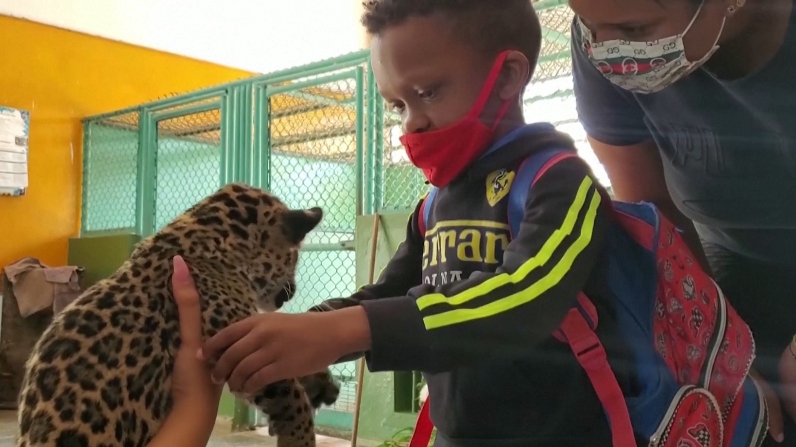 Ягуары и змеи: зоотерапия для детей-инвалидов на Кубе