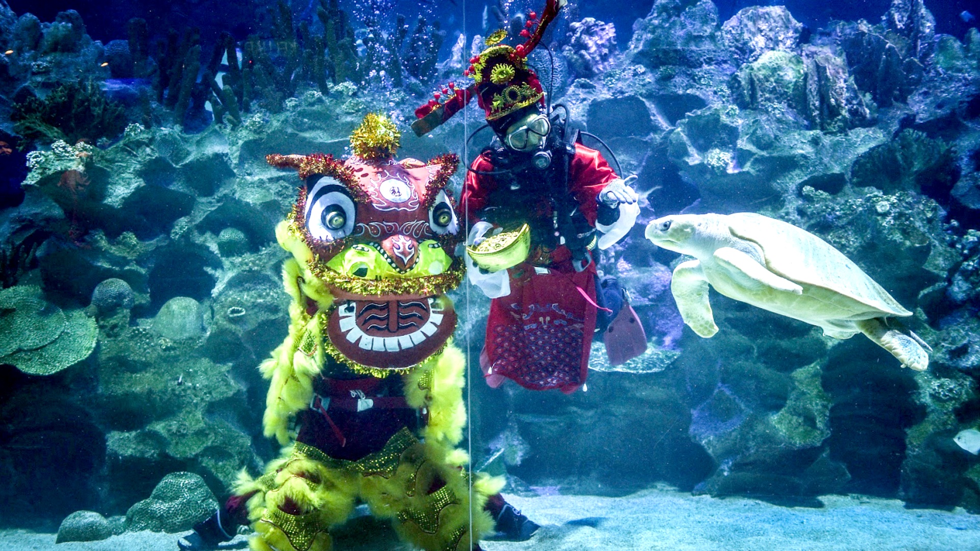Танцем льва под водой отмечают китайский Новый год в Малайзии