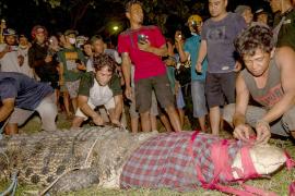 Индонезиец сам поймал крокодила, чтобы его спасти