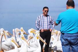 Пеликаны привлекают туристов на озеро в Мексике
