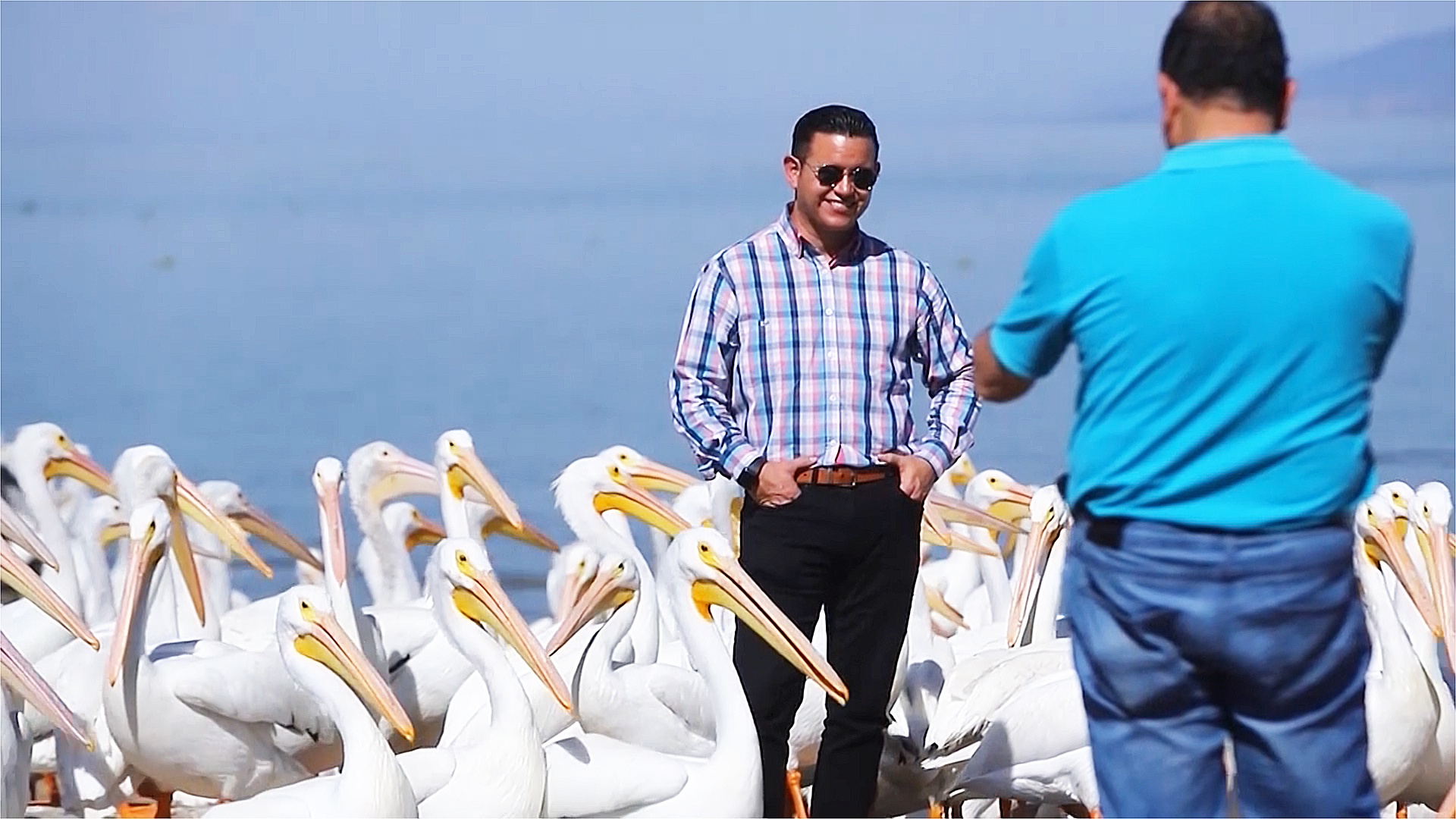 Пеликаны привлекают туристов на озеро в Мексике