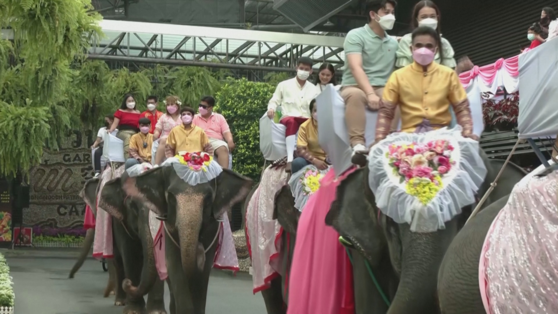 40 влюблённых пар поженились верхом на слонах