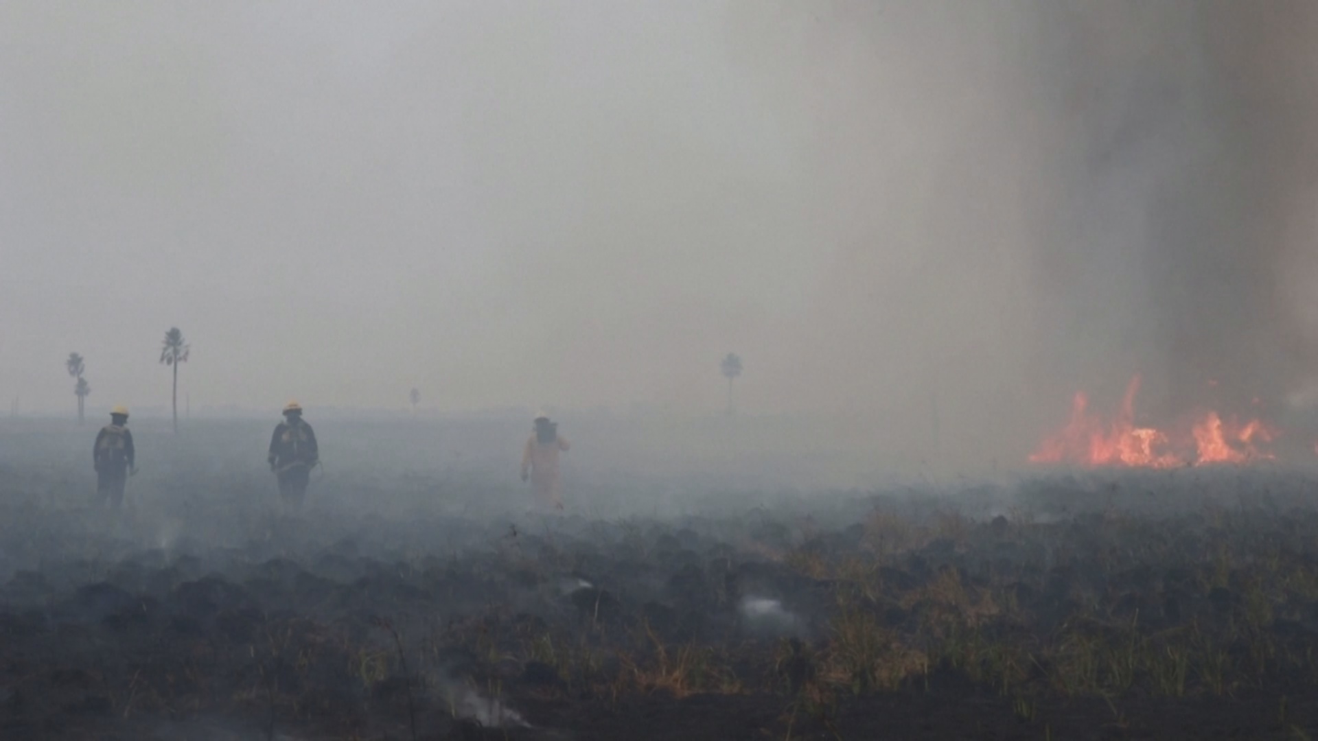 «Просто катастрофа»: в Аргентине не удаётся справиться с лесными пожарами