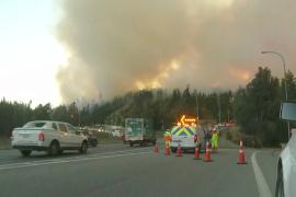 В Чили полыхает сильный лесной пожар