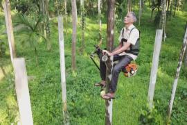 Необычный скутер помогает индийским фермерам подниматься на пальмы