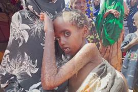 Тысячи сомалийцев бегут из своих испепелённых солнцем деревень