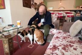 «Кошачий папа»: как иорданец спасает бездомных кошек