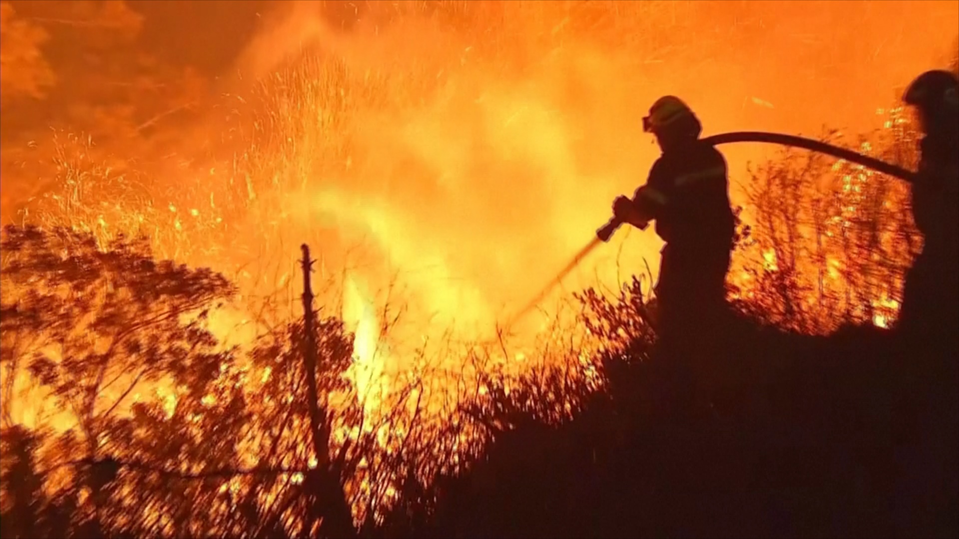 Сильный пожар в Чили: сгорели десятки домов