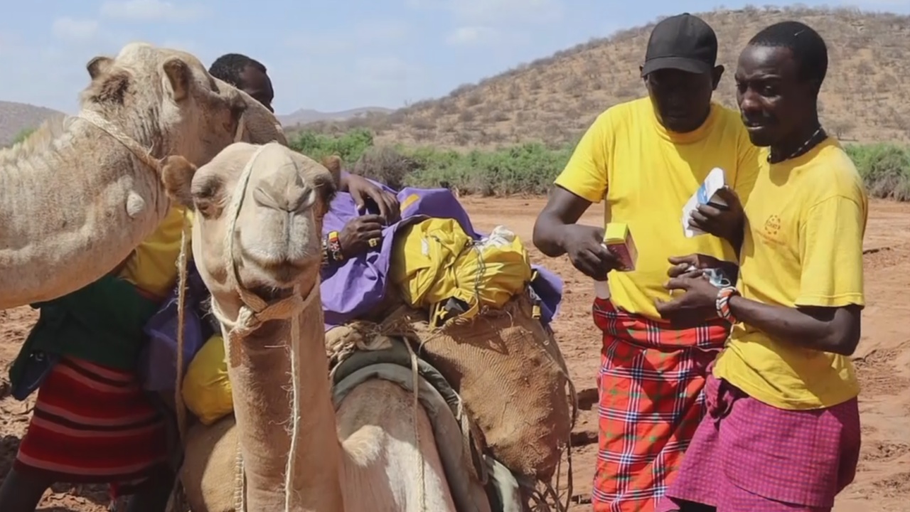 Врачи на верблюдах: как кенийская клиника помогает отдалённым деревням