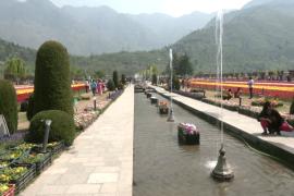Озёра, сады и луга: туристы вновь устремляются в Кашмир