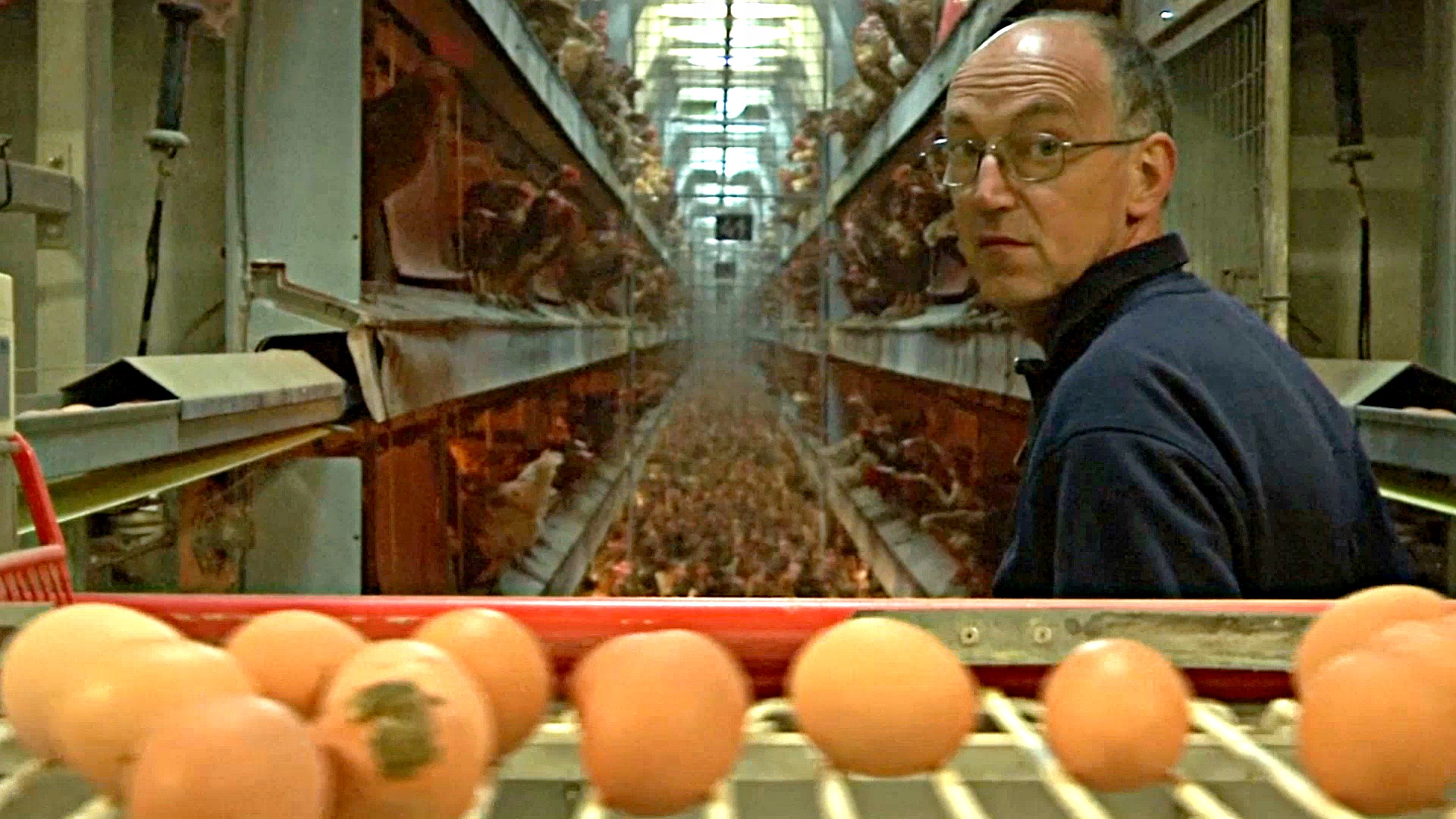Яичный кризис: перед Пасхой в мире взлетели цены на яйца